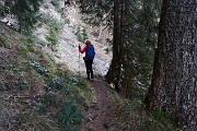 17 Al termine della salita in pineta un bel traverso...